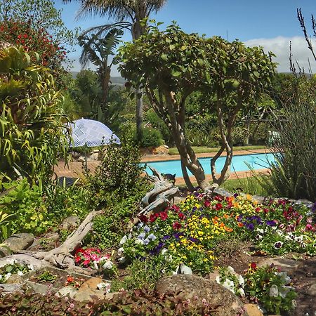 Footprints Of Knysna Apartment ภายนอก รูปภาพ